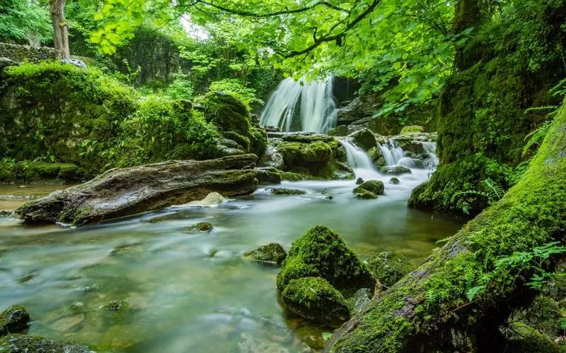 高效高效高端